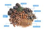 Dry Pet Food Extruder Animal Feed Pellet Machine Driven By 15KW Motor