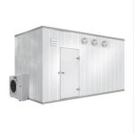 380V 50Hz LCD display Walk In Cooler Freezer