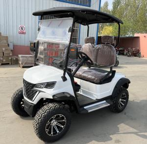Quality 2 Seater Electric Golf Cart Optional Lithium Battery Mini Durable Electric Golf Buggy wholesale