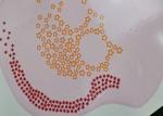 Waterproof Furniture Transfer Decals For Kitchen Cupboards Eco Friendly