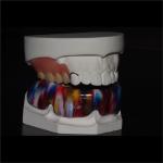BPA Free Dentist Sport Mouth Guards Medical Grade Materials