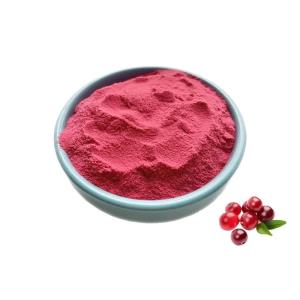 Quality Cranberry Extract Powder Anthocyanidins Extract Cyanidin Powder wholesale
