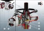 ROTORK 3 Year Warranty Electric Actuator IQ3 With Chinese Wuzhong Ball Valves