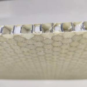 Quality 1500x2100mm FRP Honeycomb Panels , Carbon Fiber Honeycomb Sandwich Panel wholesale