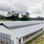 Q235B Q355B Steel Structure Chicken House , Economical Prefab Steel Structure