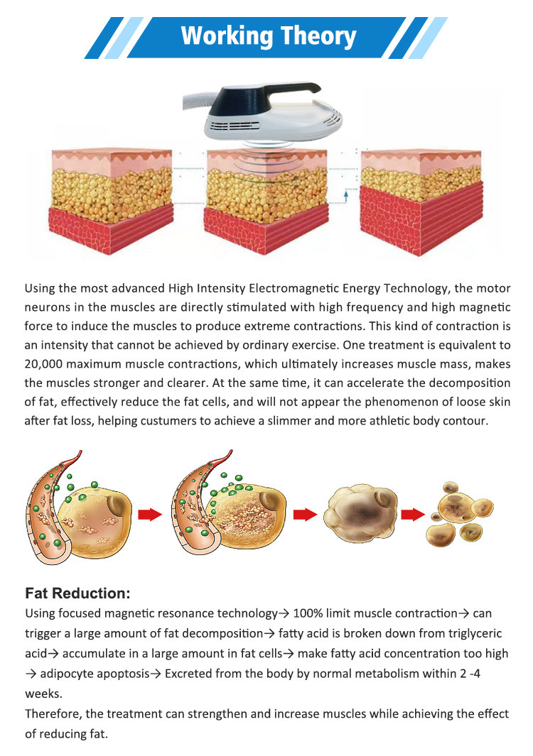 Clinic Fat Sculpting Machine 1Hz-100Hz EMS Muscle Stimulation Machine