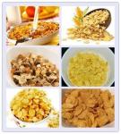 EN AS Standard Corn Flakes Production Line SS Made 35m / 42m Length Optional