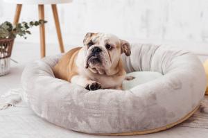 Quality Calming Dog Bed 80cm 100cm Donut Cat Bed Covered Dog Bed Anxiety Dog Mattress Bed wholesale