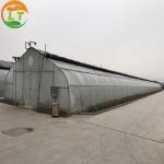 Ventilation Sides Ventilation Blackout Film for Mushroom Greenhouse Manufactured