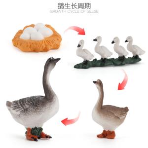 Quality Goose Life Cycle Figure Model Toy For Boys Girls Kids wholesale