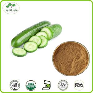 Quality Best Price Cucumber Powder / 100% Natural Cucumber Extract wholesale