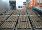 380V Pulp Apple Tray Machine , Paper Recycle Egg Carton Making Machine