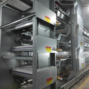 Quality Hot Galvanized Poultry Farming Battery Cage System For Laying Hen wholesale