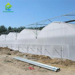 Quality OEM Agricultural PC Sheet Greenhouse wholesale