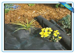 Quality Anti UV Agriculture Non Woen Cover Weed Control Fabric wholesale