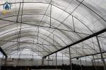 Vegetables Multi Span Agricultural Greenhouse Plant Plastic Film Greenhouse