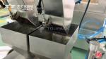Full-Automatic Fermented Soya Beans Granule Weighing Filling Machine Prevent