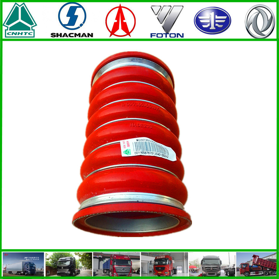 Sinotruk HOWO Truck Spare Parts Intercooler Intake Pipe (WG9730530011)