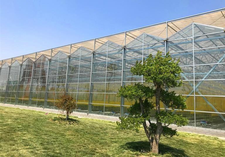 Humidity-Controlled Planting Facility by Juxiang