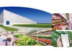 Agricultural PP 24V Home Hydroponic Growing Systems