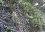 25.4mmx44mm ferrule Wire Rope Net Garden Fence Mesh