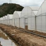 Poly Film Arch Tunnel Agriculture Vegetable Plastic Film Greenhouse Commercial
