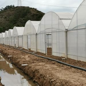 Quality Poly Film Arch Tunnel Agriculture Vegetable Plastic Film Greenhouse Commercial wholesale