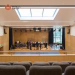 Premium Art Acoustic Panels for Sound Control and Interior Elegance