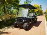 Customized Off Road Black 6 Seaters Golf Cart With AC Motor 3.5 KW Lead Acid