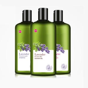 Quality Balance Greasy Lavender Essential Oil Shampoo In - Depth Moisturizing Hair wholesale