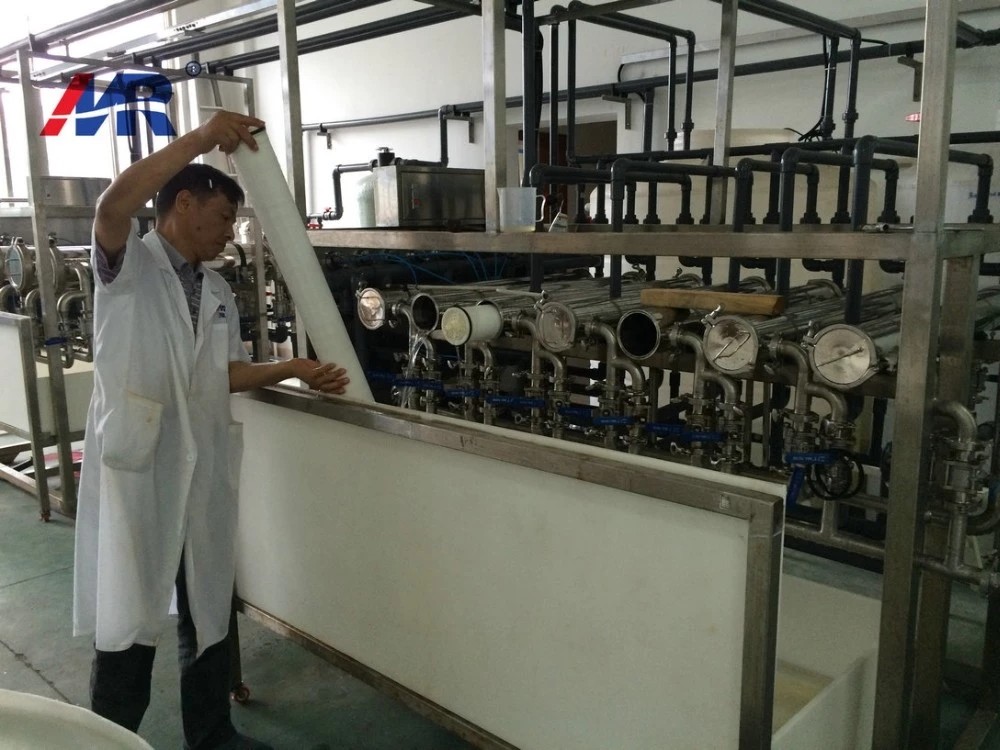 Brackish Water 300Mpa Reverse Osmosis System Membrane