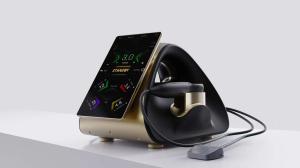 Quality HIFU Intensity Focused Ultrasound Beauty Machine For Salon Spa wholesale