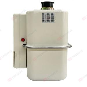 Quality Wireless LoRaWAN Smart Gas Meter System Steel Shell For Energy Management wholesale