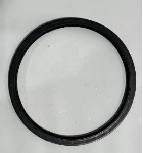 Quality 920598.0004 Skeleton oil seal Kalmar Reach Stacker Parts wholesale