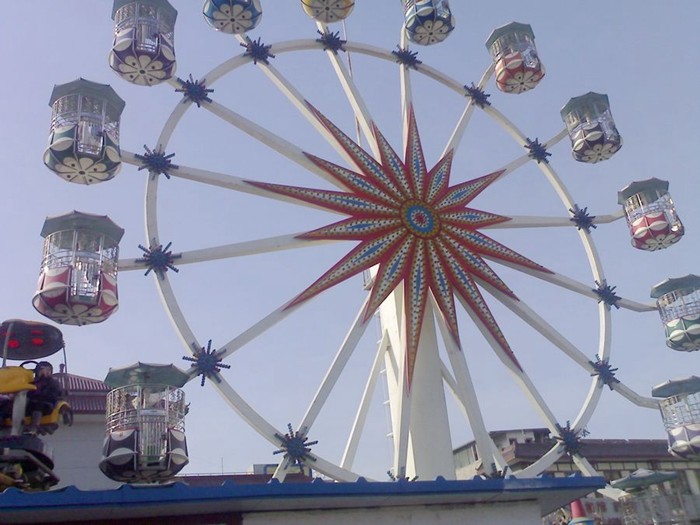 Flower Cabins Design Amusement Park Ferris Wheel Driven By Electric Control System