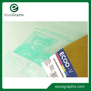 China Long Run Length Low Chemical Aluminum Violet CTP Plate For Offset Printing on sale