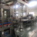 Auto Mineral Water Filling Machine , Beverage Filling Equipment Capping Machine