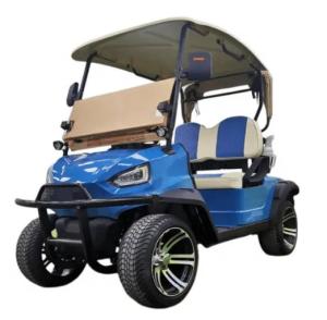 Quality without battery 3.5KW AC motor 4 Wheels Electric Golf Cart 2-seater buggy beach hunting wholesale