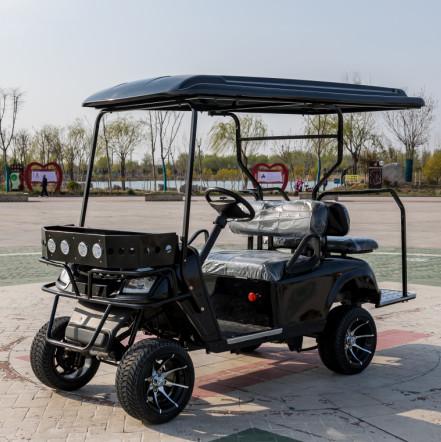 2+2 Person Modern Golf Cart Fast Electric Mini Mobility Steering Hunting Golf