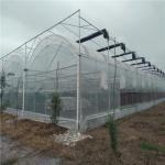 Hydroponics Irrigation System for Strawberry/Flowers/Vegetables Multi-Span Frame