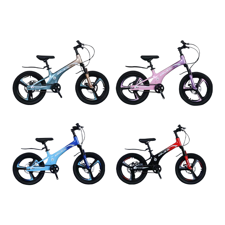 Mountain Bicycle with 21 Speed Gears and Magnesium Alloy Frame