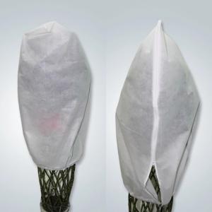 Quality Biodegradable Anti Uv 40gsm Grape Protection Bags wholesale