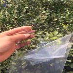100% Virgin PMMA Extrusion Acrylic Sheet Clear 94% Light Transmission