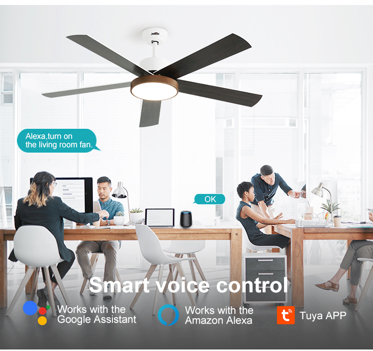 OEM LED Ceiling Fan 54 Inch 6 Speeds Remote Control Dimmable Light 3 Color Options