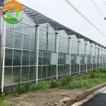 Victorian Glass Greenhouse Width 8m or Customized Made of Transparent Glass