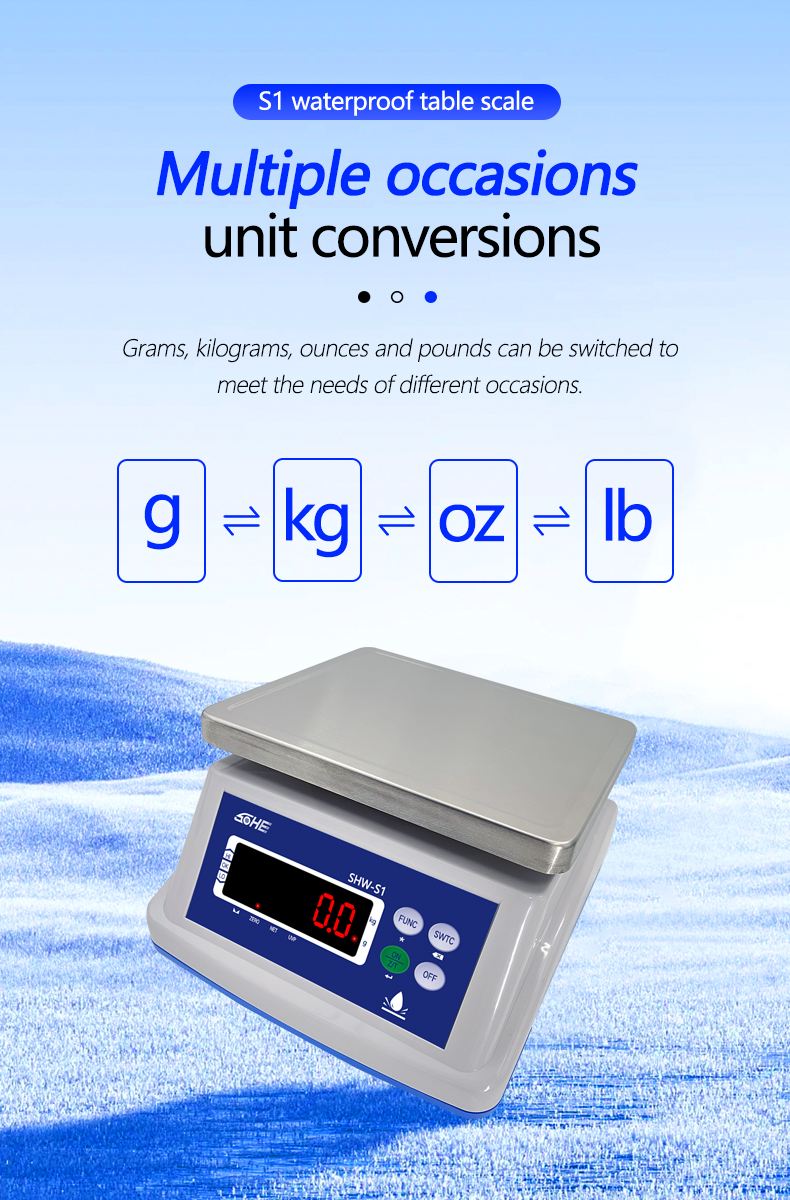 Double Layer Structure 30KG Waterproof Scale with Precision Sensor and LED Display