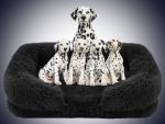 Customizable Logo Detachable Cat Bed Cozy Animal Mat Waterproof Bed For Pet Dog
