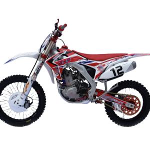 Quality 120Km/H Enduro Dual Sport Motorcycles 250cc Electric Enduro Dirt Bike wholesale