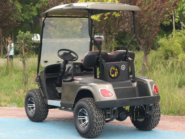 2 Person Golf Cart Buggy 25-40Mph Electric Power Lithium Battery Low Price