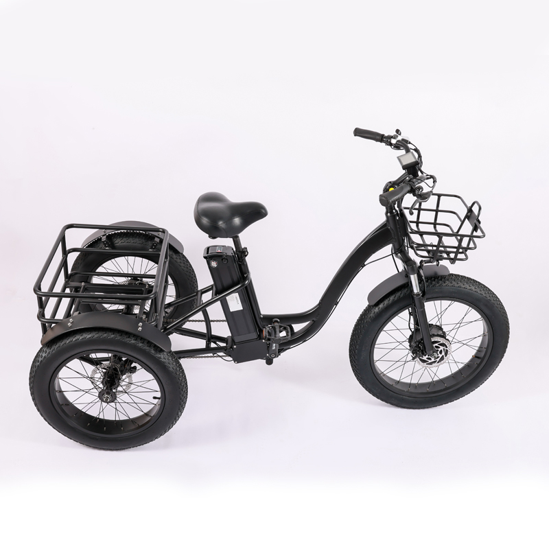 High Capacity Family Cargo Bike with Torque 80-90 Nm and Rear Carrier Battery Position